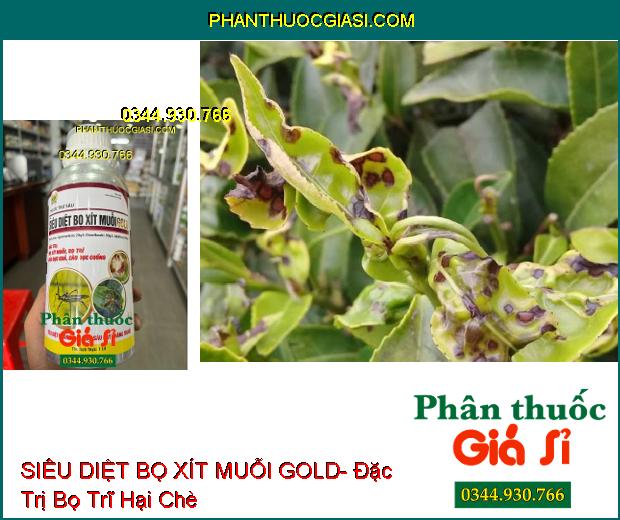 SIÊU DIỆT BỌ XÍT MUỖI GOLD