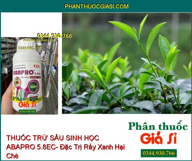 THUỐC TRỪ SÂU SINH HỌC ABAPRO 5.8EC- Đặc Trị Sâu Cuốn Lá- Rầy Xanh- Nhện Đỏ