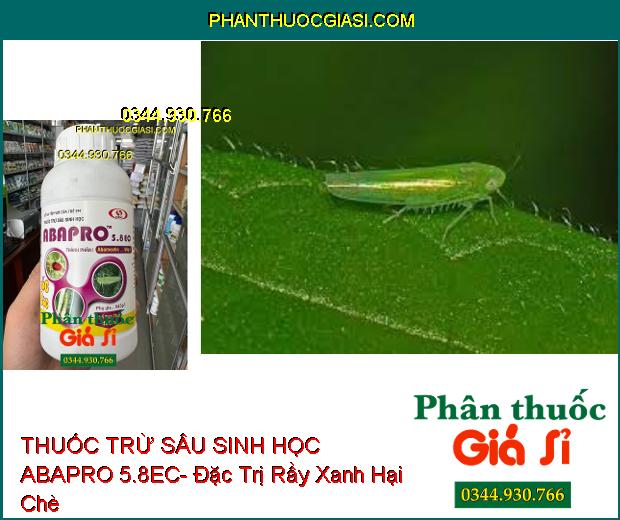 THUỐC TRỪ SÂU SINH HỌC ABAPRO 5.8EC- Đặc Trị Sâu Cuốn Lá- Rầy Xanh- Nhện Đỏ