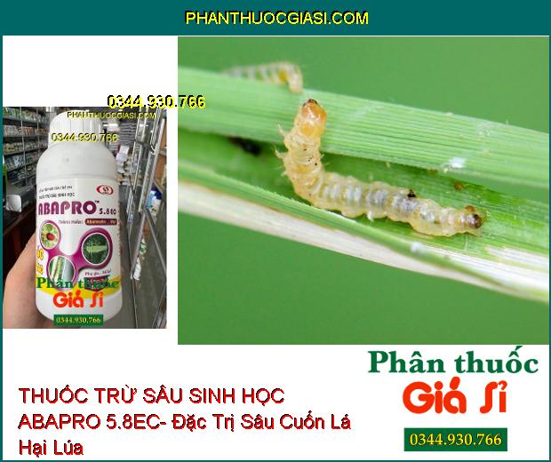 THUỐC TRỪ SÂU SINH HỌC ABAPRO 5.8EC- Đặc Trị Sâu Cuốn Lá- Rầy Xanh- Nhện Đỏ