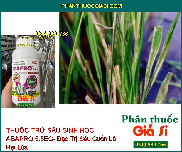 THUỐC TRỪ SÂU SINH HỌC ABAPRO 5.8EC- Đặc Trị Sâu Cuốn Lá- Rầy Xanh- Nhện Đỏ