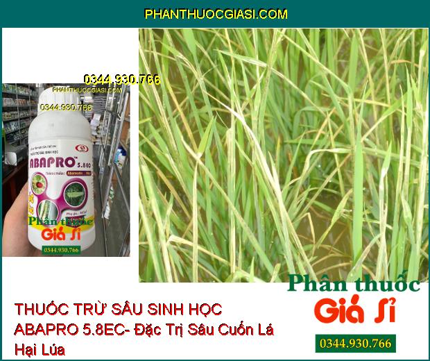 THUỐC TRỪ SÂU SINH HỌC ABAPRO 5.8EC- Đặc Trị Sâu Cuốn Lá- Rầy Xanh- Nhện Đỏ