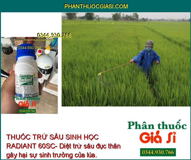 THUỐC TRỪ SÂU SINH HỌC RADIANT 60SC- Đặc Trị Bọ Trĩ- Sâu Xanh- Dòi Đục Lá