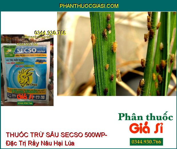 THUỐC TRỪ SÂU SECSO 500WP- Đặc Trị Rầy Nâu- Sâu Khoang- Bọ Xít Muỗi