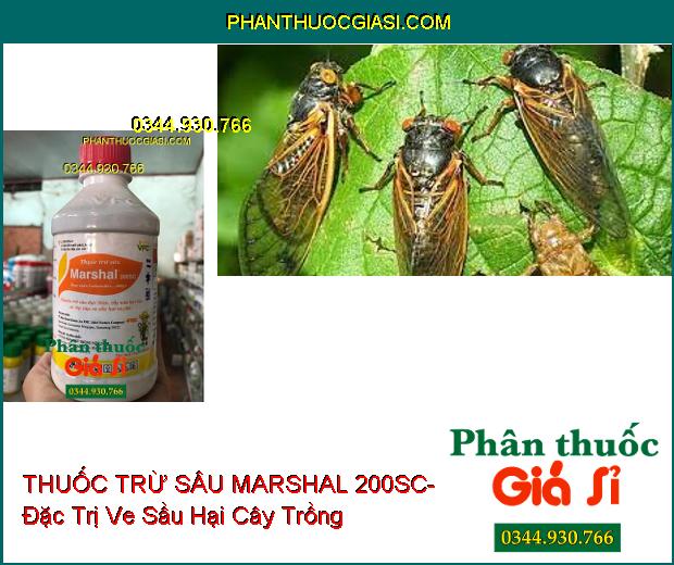 THUỐC TRỪ SÂU MARSHAL 200SC- Đặc Trị Sâu Đục Thân- Rầy Nâu- Rệp Sáp- Ve Sầu