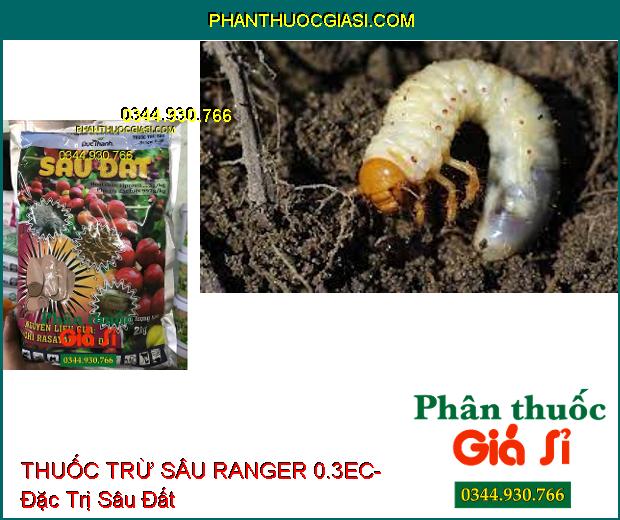 THUỐC TRỪ SÂU RANGER 0.3EC- Đặc Trị Sâu Đất- Tuyến Trùng- Sâu Đục Thân- Bọ Hà