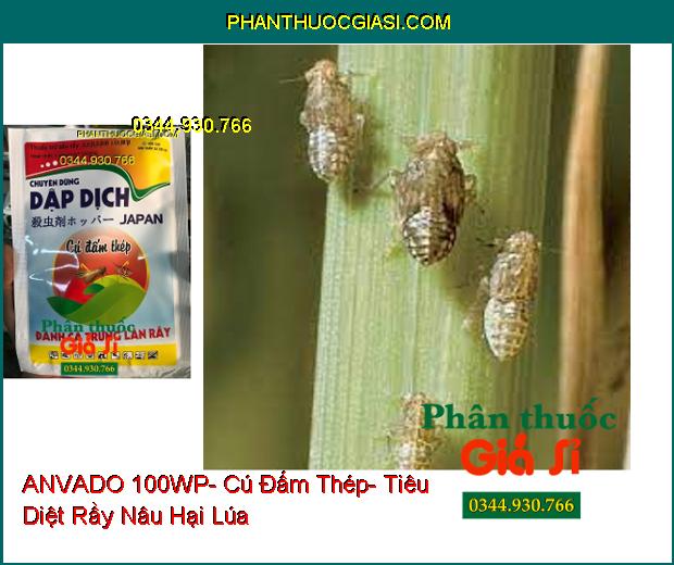 THUỐC TRỪ SÂU RẦY ANVADO 100WP- Cú Đấm Thép- Tiêu Diệt Cả Rầy Và Trứng Rầy