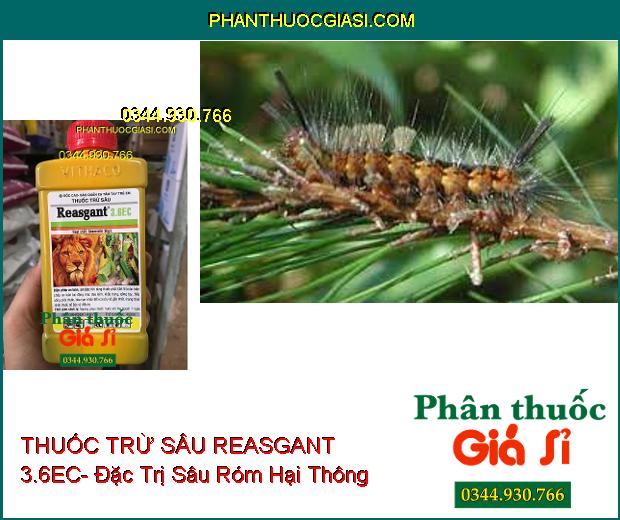 THUỐC TRỪ SÂU REASGANT 3.6EC- Đặc Trị Nhiều Loại Côn Trùng Hại Cây 