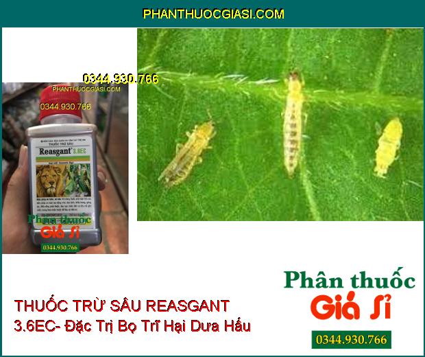 THUỐC TRỪ SÂU REASGANT 3.6EC- Đặc Trị Nhiều Loại Sâu Hại Trên Nhiều Loại Cây Trồng