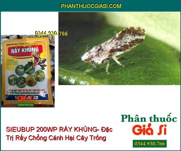 THUỐC TRỪ SÂU SIEUBUP 200WP RẦY KHỦNG- Đặc Trị Rầy Xanh- Bọ Trĩ- Rệp Sáp- Ruồi Vàng- Tuyến Trùng