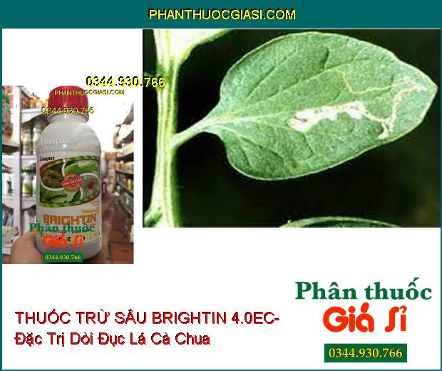 THUỐC TRỪ SÂU SINH HỌC BRIGHTIN 4.0EC- Đặc Trị Sâu Xanh- Bọ Trĩ- Nhện Đỏ- Nhện Gié