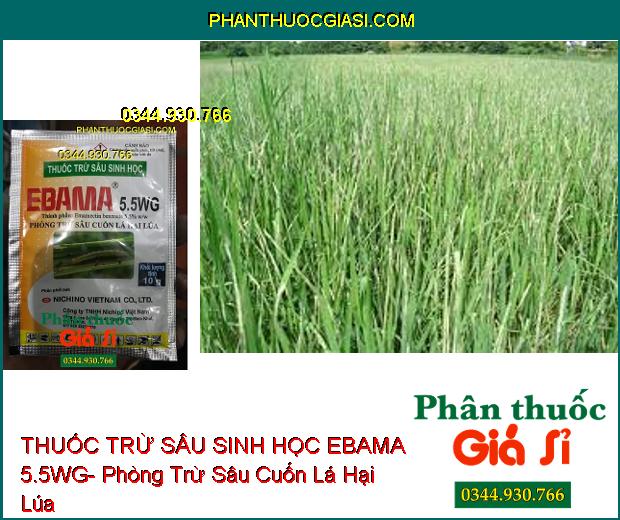 THUỐC TRỪ SÂU SINH HỌC EBAMA 5.5WG- Phòng Trừ Sâu Cuốn Lá Hại Lúa