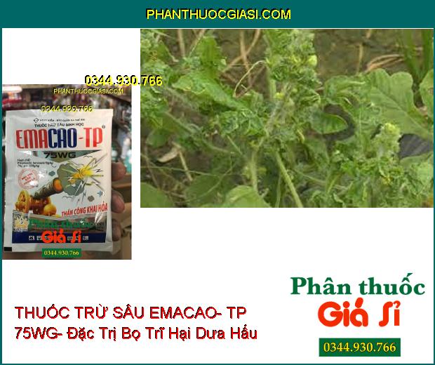 THUỐC TRỪ SÂU SINH HỌC EMACAO- TP 75WG- Trừ Các Loại Sâu Đã Kháng Thuốc