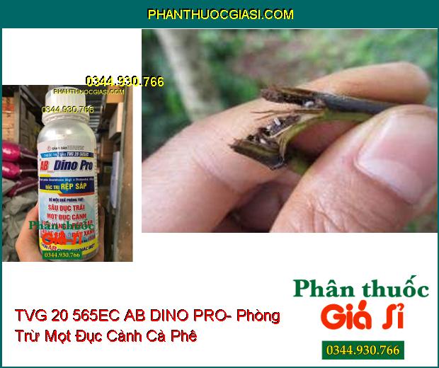 THUỐC TRỪ SÂU TVG 20 565EC AB DINO PRO- Phòng Trừ Rệp Sáp- Sâu- Ruồi- Rầy