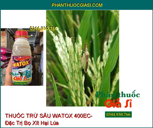 THUỐC TRỪ SÂU WATOX 400EC- Đặc Trị Bọ Xít- Bọ Trĩ- Rệp Sáp