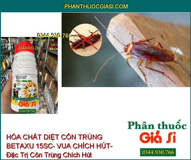 HÓA CHẤT DIỆT CÔN TRÙNG BETAXU 15SC- VUA CHÍCH HÚT- Đặc Trị Côn Trùng Chích Hút