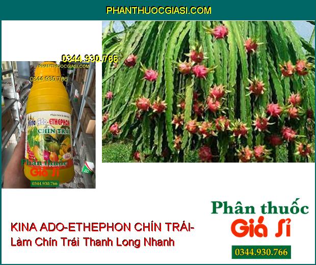 PHÂN BÓN LÁ SINH HỌC KINA ADO-ETHEPHON CHÍN TRÁI- Chín Trái Nhanh- Màu Sắc Đẹp- Chống Sượng Trái