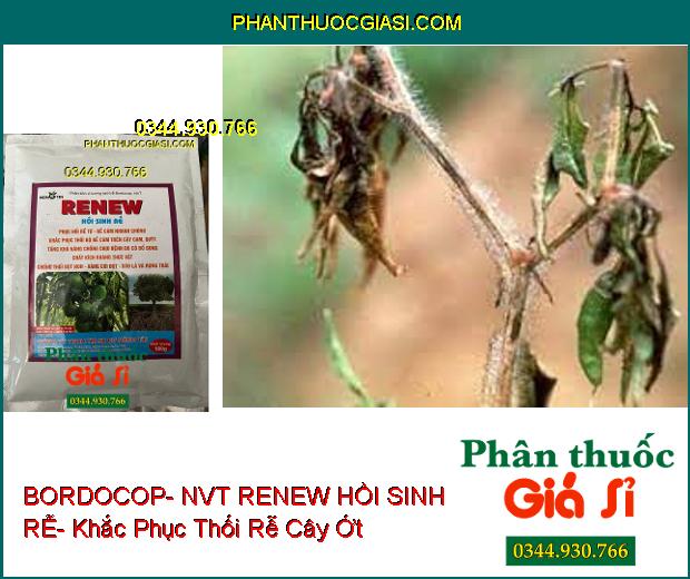 PHÂN BÓN VI LƯỢNG BORDOCOP- NVT RENEW HỒI SINH RỄ- Phục Hồi Rễ- Khắc Phục Thối Rễ- Chống Thối Đọt Non