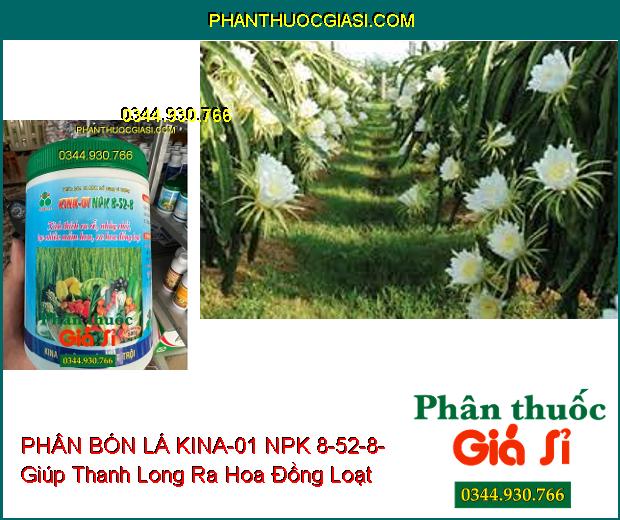 PHÂN BÓN LÁ KINA-01 NPK 8-52-8- Kích Thích Ra Rễ- Nhảy Chồi- Tạo Nhiều Mầm Hoa