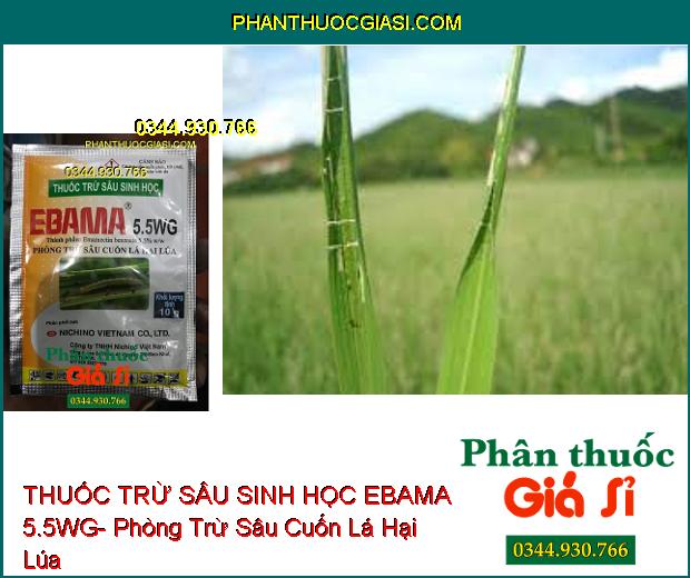 THUỐC TRỪ SÂU SINH HỌC EBAMA 5.5WG- Phòng Trừ Sâu Cuốn Lá Hại Lúa