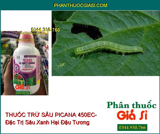 THUỐC TRỪ SÂU PICANA 450EC- Phòng Trừ Rầy Trắng- Diệt Sâu Kháng Thuốc