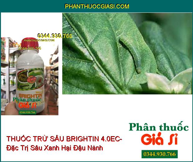 THUỐC TRỪ SÂU SINH HỌC BRIGHTIN 4.0EC- Đặc Trị Sâu Xanh- Bọ Trĩ- Nhện Đỏ- Nhện Gié