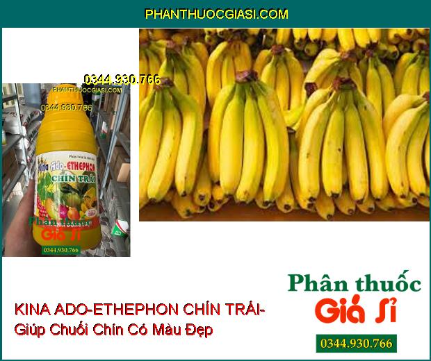 PHÂN BÓN LÁ SINH HỌC KINA ADO-ETHEPHON CHÍN TRÁI- Chín Trái Nhanh- Màu Sắc Đẹp- Chống Sượng Trái