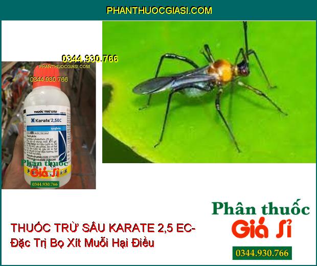 THUỐC TRỪ SÂU KARATE 2,5 EC- Đặc Trị Sâu Cuốn Lá- Bọ Xít Muỗi- Sâu Phao