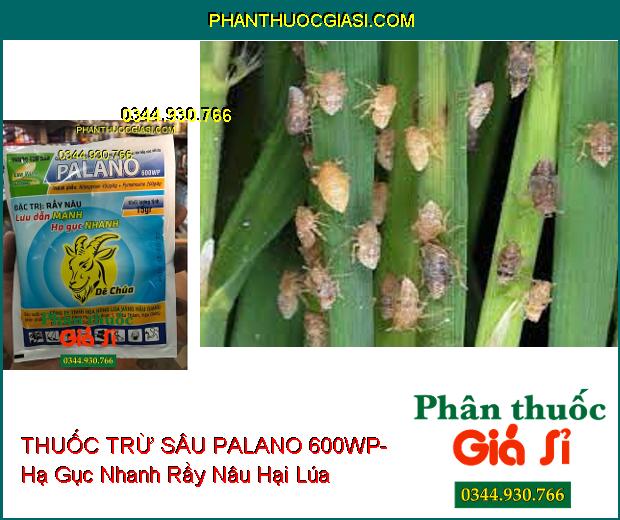 THUỐC TRỪ SÂU PALANO 600WP- Lưu Dẫn Mạnh- Hạ Gục Nhanh Rầy Nâu