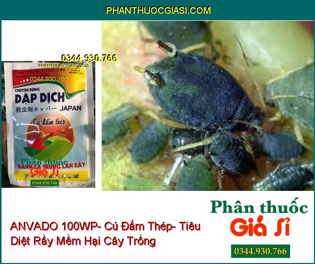 THUỐC TRỪ SÂU RẦY ANVADO 100WP- Cú Đấm Thép- Tiêu Diệt Cả Rầy Và Trứng Rầy