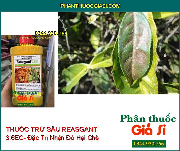 THUỐC TRỪ SÂU REASGANT 3.6EC- Đặc Trị Nhiều Loại Côn Trùng Hại Cây 