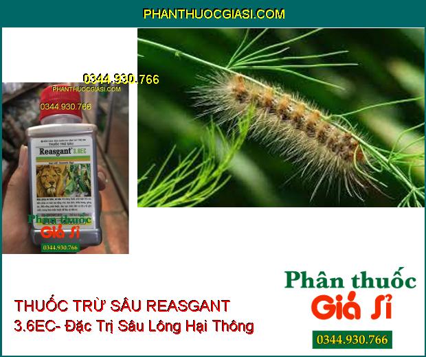 THUỐC TRỪ SÂU REASGANT 3.6EC- Đặc Trị Nhiều Loại Sâu Hại Trên Nhiều Loại Cây Trồng