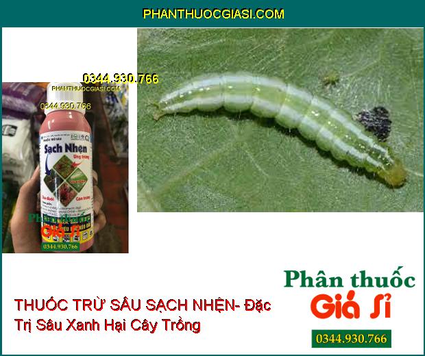 THUỐC TRỪ SÂU SẠCH NHỆN- Làm Ung Trứng Nhện- Xua Đuổi Côn Trùng Gây Hại