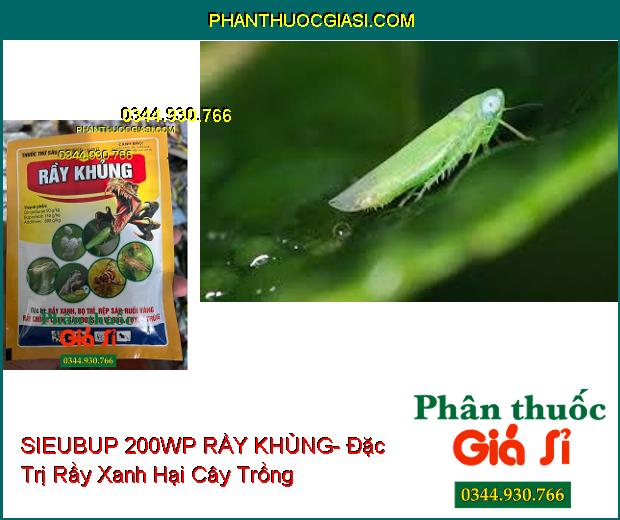 THUỐC TRỪ SÂU SIEUBUP 200WP RẦY KHỦNG- Đặc Trị Rầy Xanh- Bọ Trĩ- Rệp Sáp- Ruồi Vàng- Tuyến Trùng