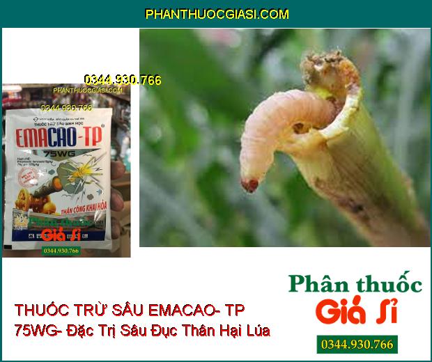 THUỐC TRỪ SÂU SINH HỌC EMACAO- TP 75WG- Trừ Các Loại Sâu Đã Kháng Thuốc