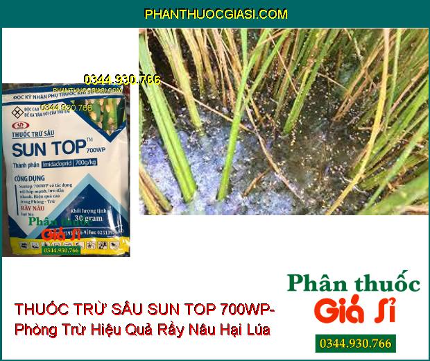 THUỐC TRỪ SÂU SUN TOP 700WP- Phòng Trừ Hiệu Quả Rầy Nâu Hại Lúa