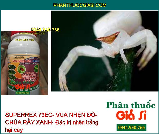 THUỐC TRỪ SÂU SUPERREX 73EC- VUA NHỆN ĐỎ- CHÚA RẦY XANH- Đặc Trị Nhện- Rầy