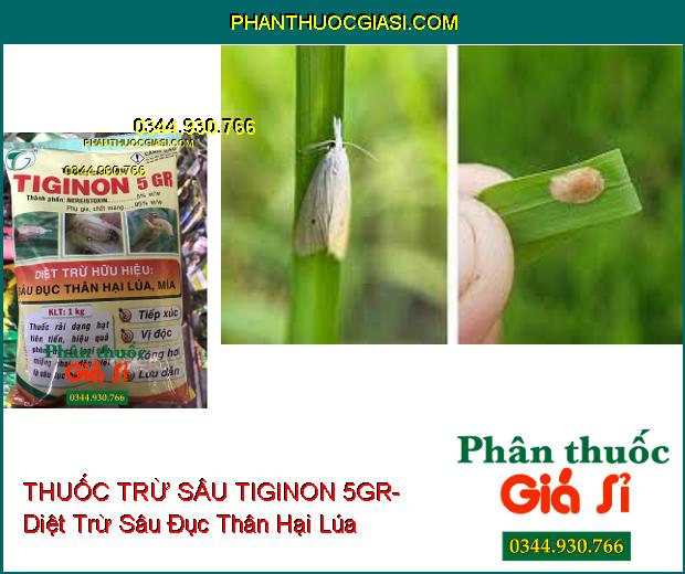 THUỐC TRỪ SÂU TIGINON 5GR- Diệt Trừ Hữu Hiệu Sâu Đục Thân Hại Lúa- Mía