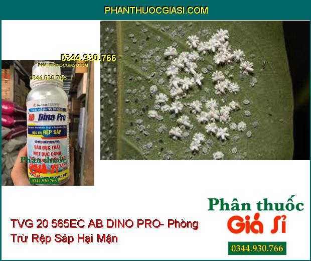 THUỐC TRỪ SÂU TVG 20 565EC AB DINO PRO- Phòng Trừ Rệp Sáp- Sâu- Ruồi- Rầy