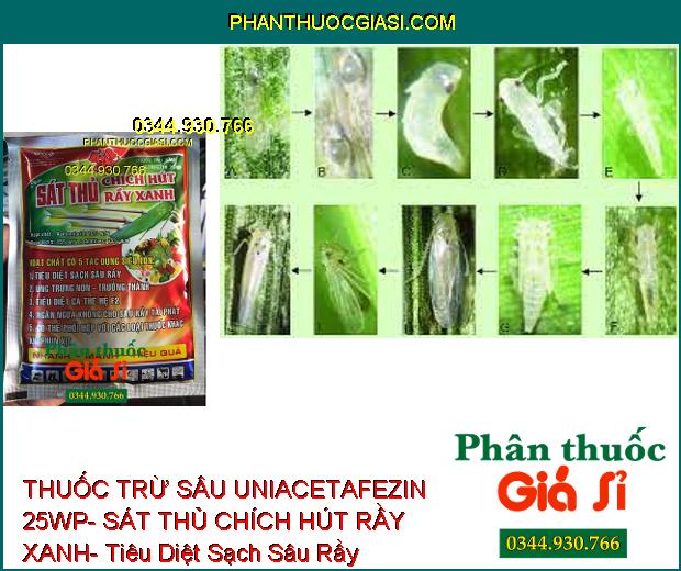 THUỐC TRỪ SÂU UNIACETAFEZIN 25WP- SÁT THỦ CHÍCH HÚT RẦY XANH- Tiêu Diệt Sạch Sâu Rầy