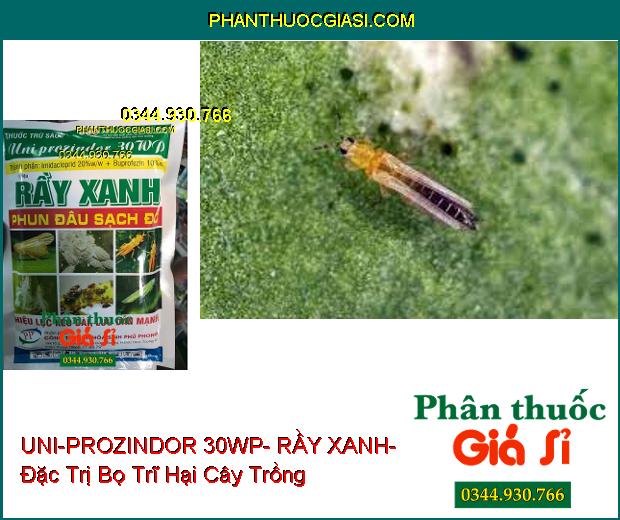 THUỐC TRỪ SÂU UNI-PROZINDOR 30WP- RẦY XANH- Đặc Trị Côn Trùng Chích Hút- Rầy Không Thể Lột Xác