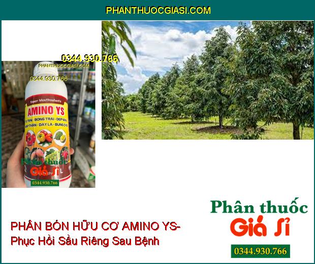 PHÂN BÓN HỮU CƠ AMINO YS- To Trái- Bóng Trái- Đẹp Màu- Mập Thân