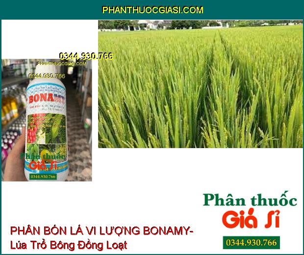 PHÂN BÓN LÁ VI LƯỢNG BONAMY- Tăng Tỷ Lệ Đậu Trái- Chống Rụng Hoa Và Trái non