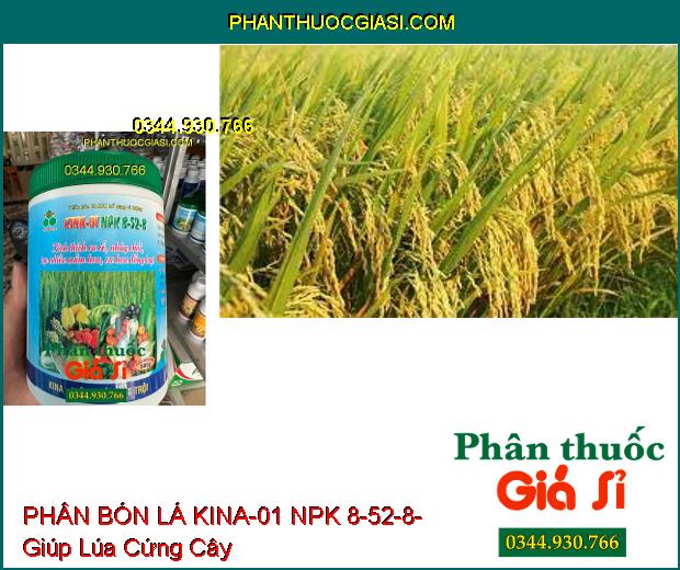 PHÂN BÓN LÁ KINA-01 NPK 8-52-8- Kích Thích Ra Rễ- Nhảy Chồi- Tạo Nhiều Mầm Hoa