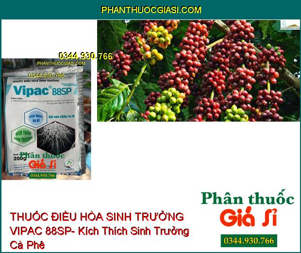 THUỐC ĐIỀU HÒA SINH TRƯỞNG VIPAC 88SP- Kích Thích Ra Rễ- Kích Thích Sinh Trưởng