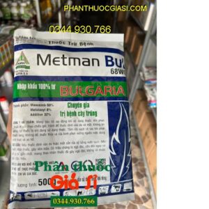 THUỐC TRỪ BỆNH METMAN BUL 68WG- Chuyên Gia Trị Bệnh Cây Trồng