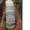 THUỐC TRỪ SÂU MOVENTO 150OD- Đặc Trị Rệp Sáp- Sâu Tơ- Sâu Đục Thân