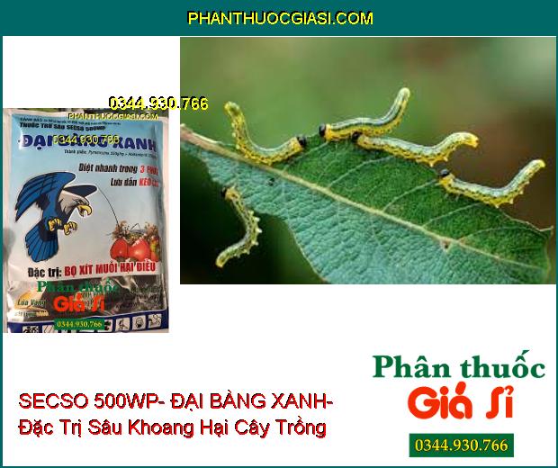 THUỐC TRỪ SÂU SECSO 500WP- ĐẠI BÀNG XANH- Đặc Trị Bọ Xít Muỗi Hại Điều