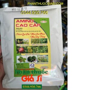 AMINO CAO CẤP