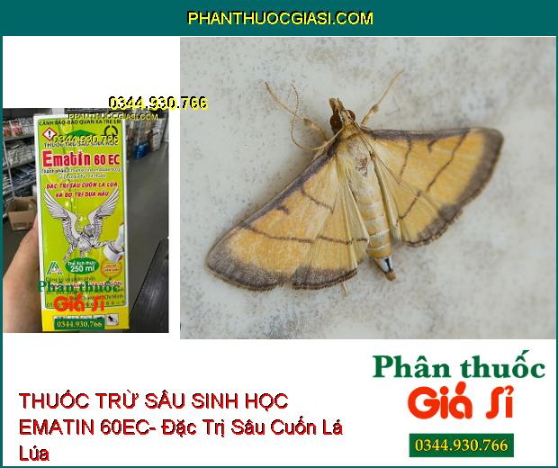 THUỐC TRỪ SÂU SINH HỌC EMATIN 60EC